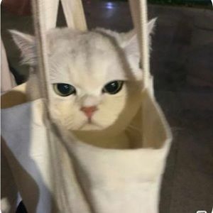 Meet your Posher, Kiera